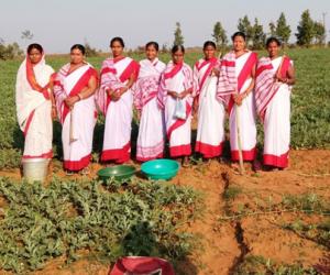 Lopamudra SHG (Water Melon Cultivation), Village-Nuagoan, GP-Ballam, Block-Barkote, Disrict-Deogarh